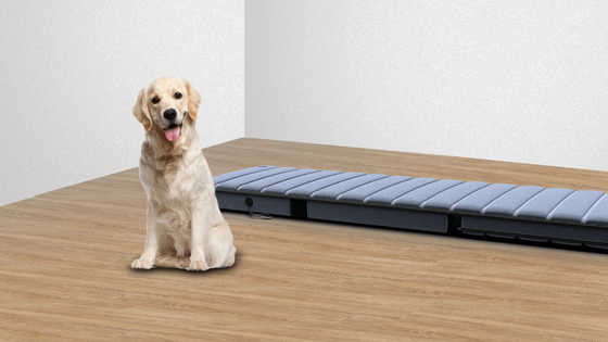 Intelligente infrarood-massage matras pad opvouwbare draadloze controller